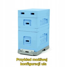 6-frame hive for raising Greater Poland honey bee packages