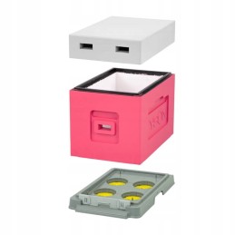 1x 6-frame hive Greater Poland pink