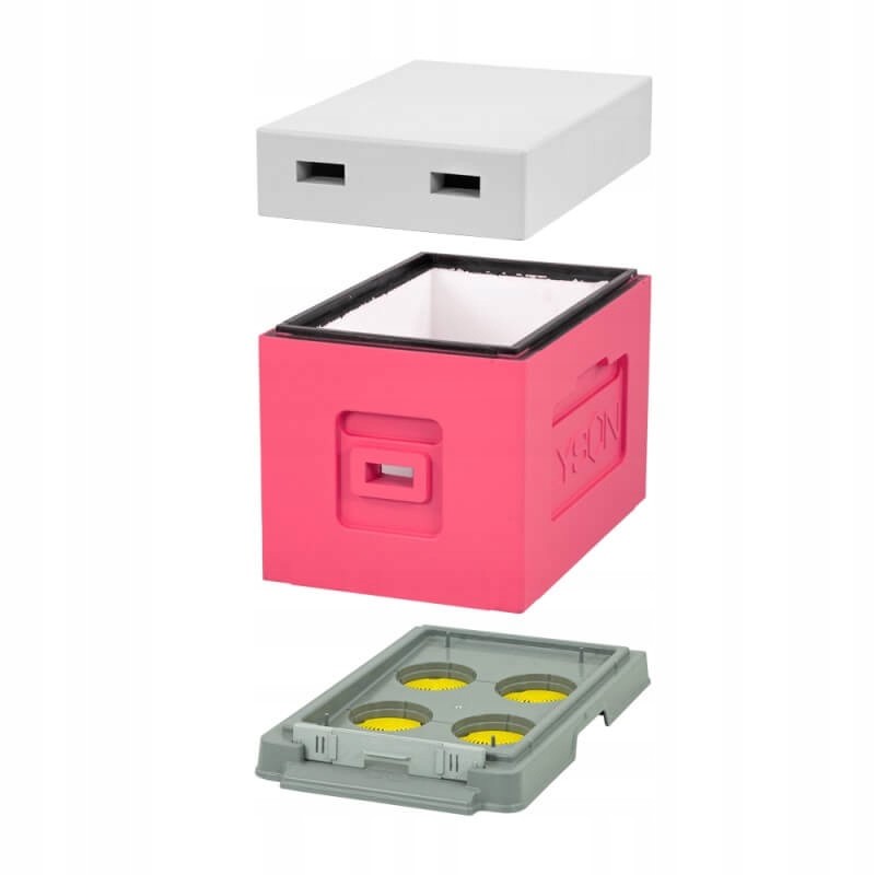 1x 6-frame hive Greater Poland pink