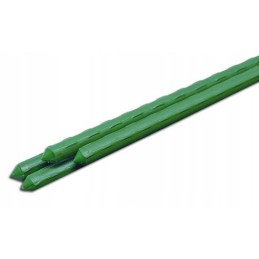 POMIDORIŲ AUGALŲ POLAS, DENGTA ATRAMA 120cm