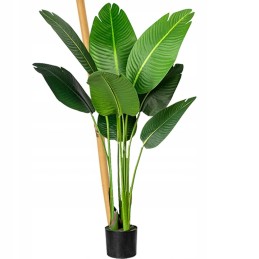 10X BAMBUKO stiebas – GĖDŲ AUGALŲ ATRAMAS – AUGALŲ stiebas 60cm (8-10mm)