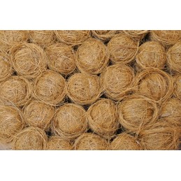 Kokoso kuolas 40 cm / 25 mm