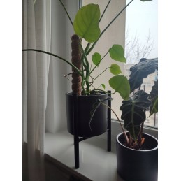 Kokoso kuolas 40 cm / 25 mm