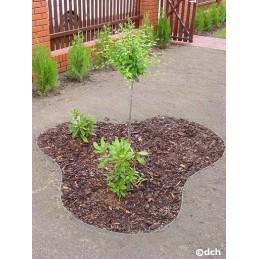 Apvado aukštis 78mm kubo juostos takas eko veja