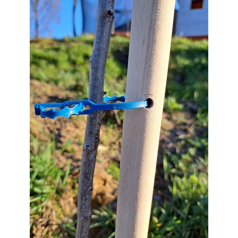 MEDINIS ATRAMAS JUOSTOS