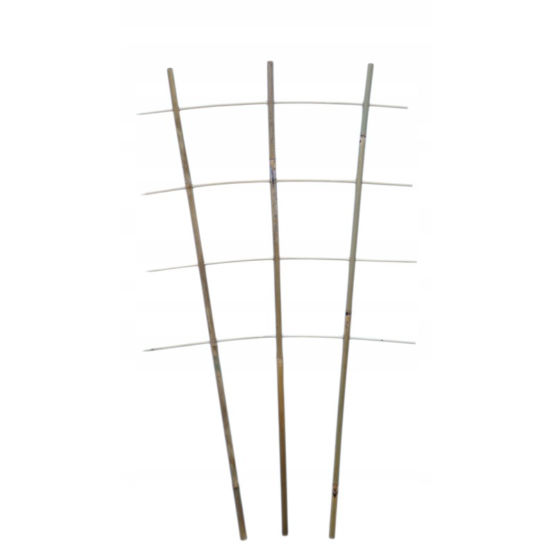 BAMBUKO KOPĖČIAS, augalo atrama, 60 cm, TRIVĖS