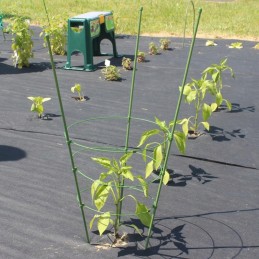 Žiedinė atrama augalams 60cm