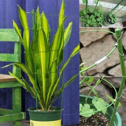 Žiedinė atrama augalams 60cm