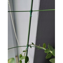 Žiedinė atrama augalams 60cm