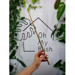 Bambuko pagaliai 40 cm x 10 vnt - AUGALŲ ATRAMAS