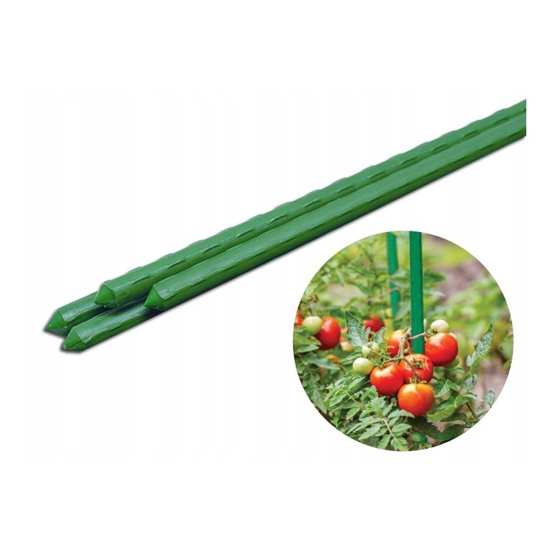 POMIDORIŲ AUGALŲ POLAS, DENGTA ATRAMA 120cm