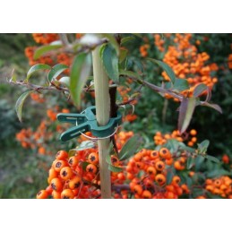 Maži sodo segtukai, 10 vnt. plastiko