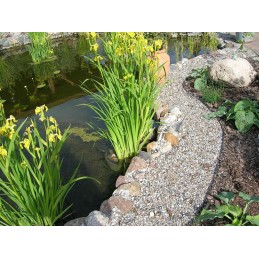 Šiame aukcione parduodame geriausios kokybės: