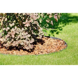 Šiame aukcione parduodame geriausios kokybės: