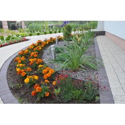 SODO VEJOS KRAŠTAS Palisade Eco BORDER 78mm 7,8cm 1m