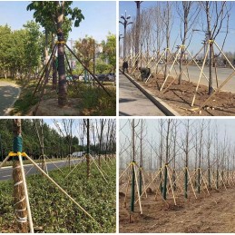 Atraminis rėmas medžių tvirtinimui