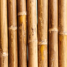 Bambuko stulpo augalo atrama 60cm 6-8mm