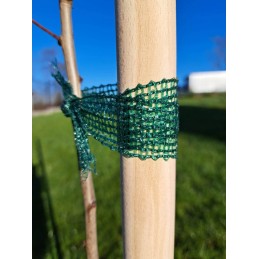 MEDINĖ ATRAKAMA IŠ BUKO MEDIENOS