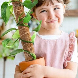 🥥 KOKOSO LAIDĖLĖ AUGALMS 🥥