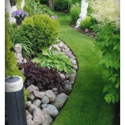 BORD vejos apvadas 58mm