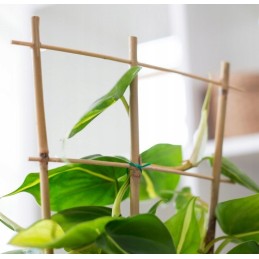 Trigubos bambukinės kopėčios 60cm 3113