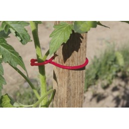 Pomidorų spaustukai, 25 vnt, raudoni