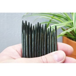 BAMBOO PIN 40cm DARK GREEN - stulpo atrama orchidėjai