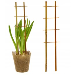 BAMBUKO KOPĖČIŲ ATRAMĖS PERGOLA AUGALAI 37 cm