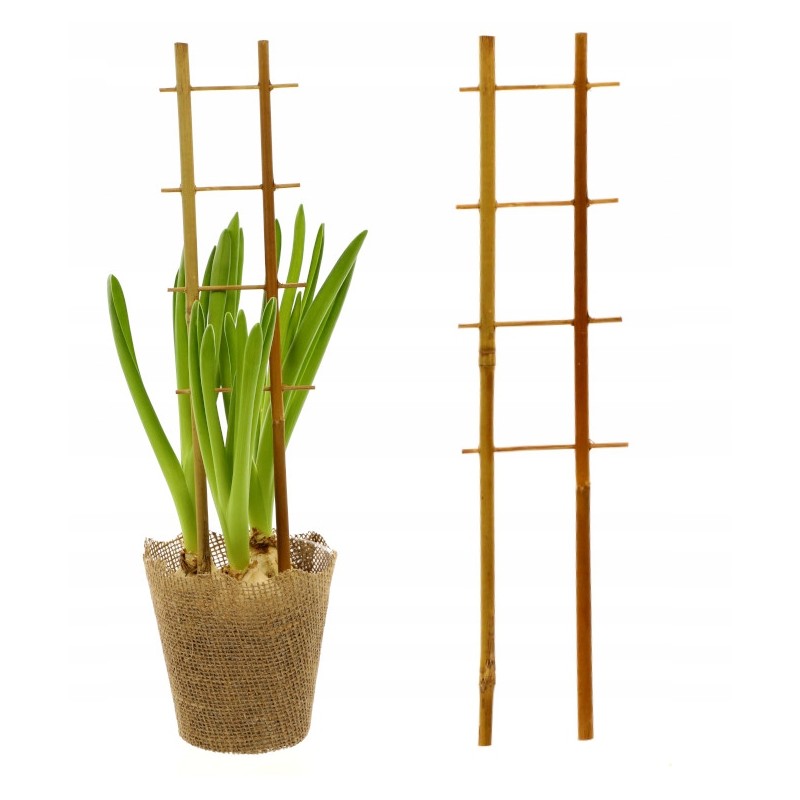 BAMBUKO KOPĖČIŲ ATRAMĖS PERGOLA AUGALAI 37 cm