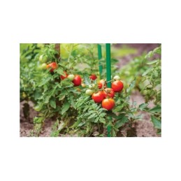 HAMMERS PLANT POLE COATED FI11MM/H150CM 8930