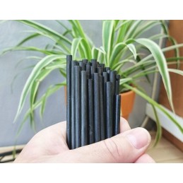 BAMBUKO SEGELĖS 50cm JUODAI-ŽALIAI 10 vnt. - stulpai ir orchidėjų kuolai