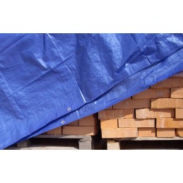 Blue Cover Brezentas 2m x 2m 50g/m2