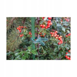 Maži sodo segtukai, 10 vnt. plastiko