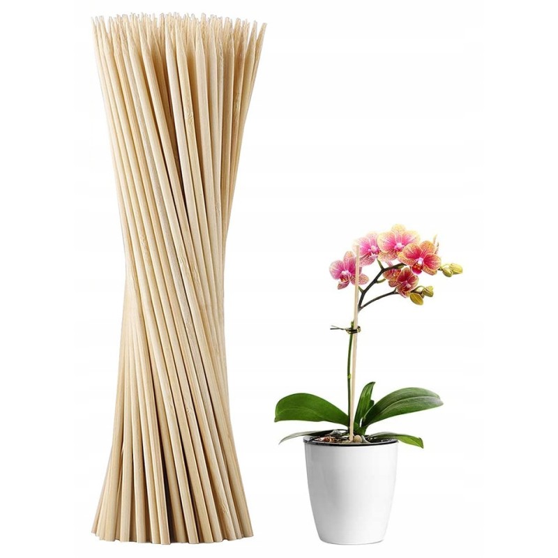 10x Smeigtukai stulpai Bambuko lazdelės atrama 50cm