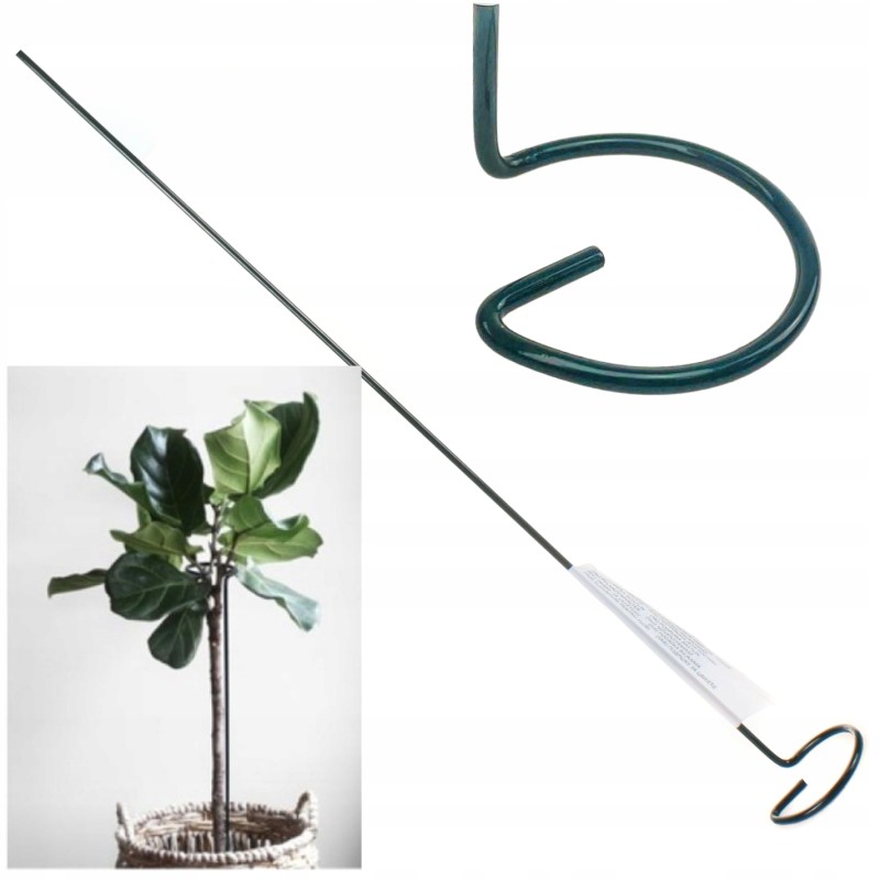 AUGALŲ ATRAMAS - ŽIEDAS 60cm