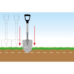 ✅ ☘ Jau daugiau nei 12 metų teikiame geriausius sodo dizaino sprendimus profesionalams ir gamtos mylėtojams ☘ ✅