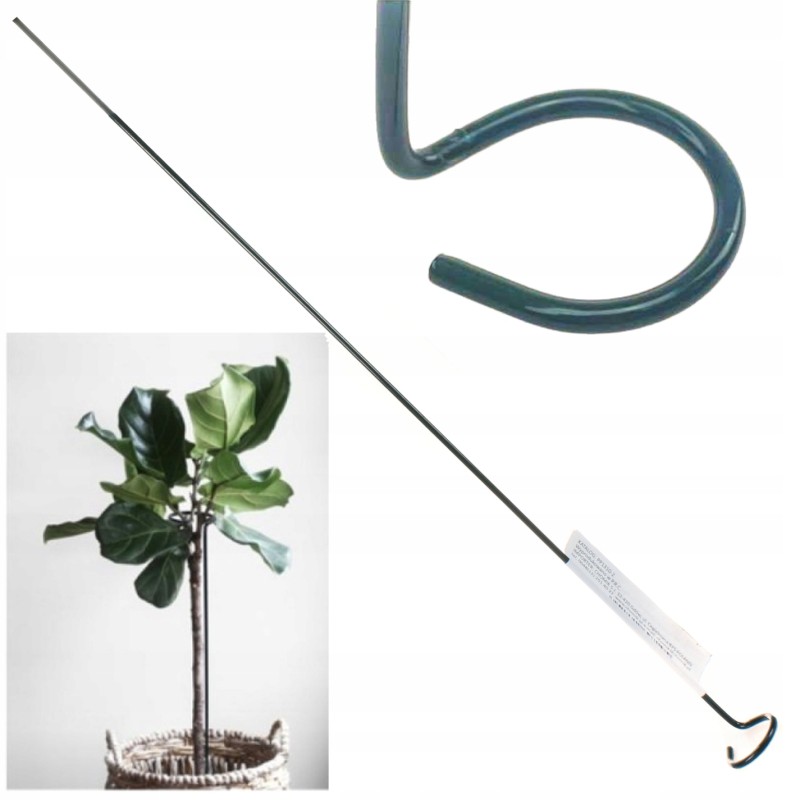 AUGALŲ ATRAMAS - ŽIEDAS 60cm