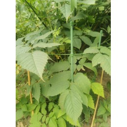 BRADAS Žiedinė atrama augalams 60cm TYRP60 Atrama augalams