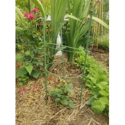 BRADAS Žiedinė atrama augalams 60cm TYRP60 Atrama augalams