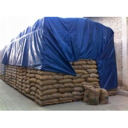 STORDAS ŠALČIUI ATSPARUS TENGELIS, SUstiprintas, STIPRIAS, 2X2