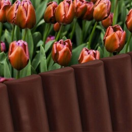 SODO ATVOROS KRAŠTAS ŽOLĖS PALIADUI