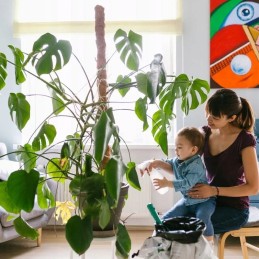 Kokoso lazdelė H 50cm sk. 2,5 cm - 1 vnt