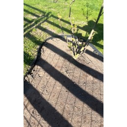 SODO VEJOS KRAŠTAS Palisade ECO BORDER 58mm 5,8cm 1m + 5 ANKRAI