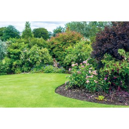 Plastikinis vejos apvadas, vientisas 5,8 cm