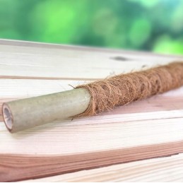 KOKOSO LAZDĖLIS, vynmedžių atraminis stulpas, STORIS, 60 cm