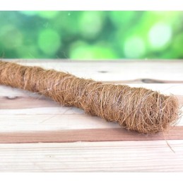 KOKOSO LAZDĖLIS, vynmedžių atraminis stulpas, STORIS, 60 cm