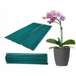 Orchidėjų atrama 40 cm 50 vnt bambuko stulpas 508578