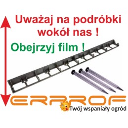 Šiame aukcione parduodame geriausios kokybės: