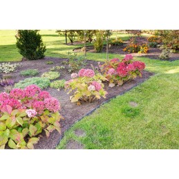 Šiame aukcione parduodame geriausios kokybės: