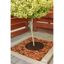 1 vnt. Plastikinis apvadas 45 mm, rudas